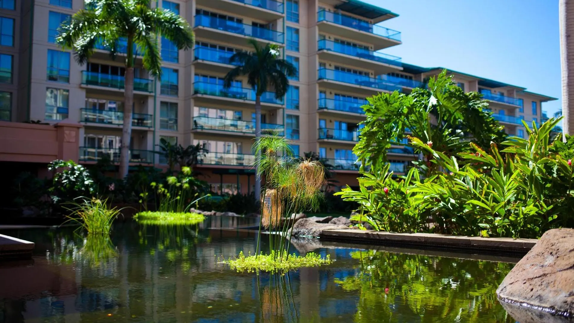 Appartamento Honua Kai Konea 204 Kahana Stati Uniti